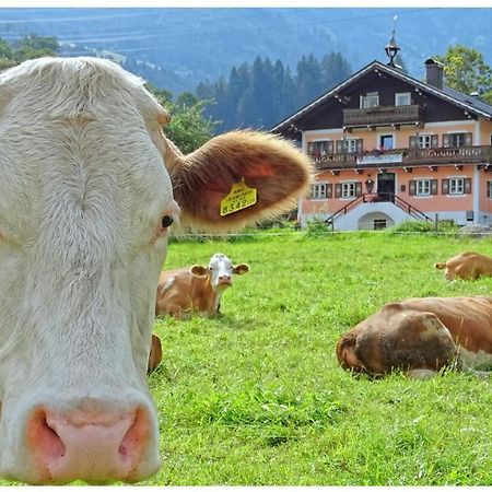 Alpinresort Derbacherhof Niedernsill Eksteriør bilde