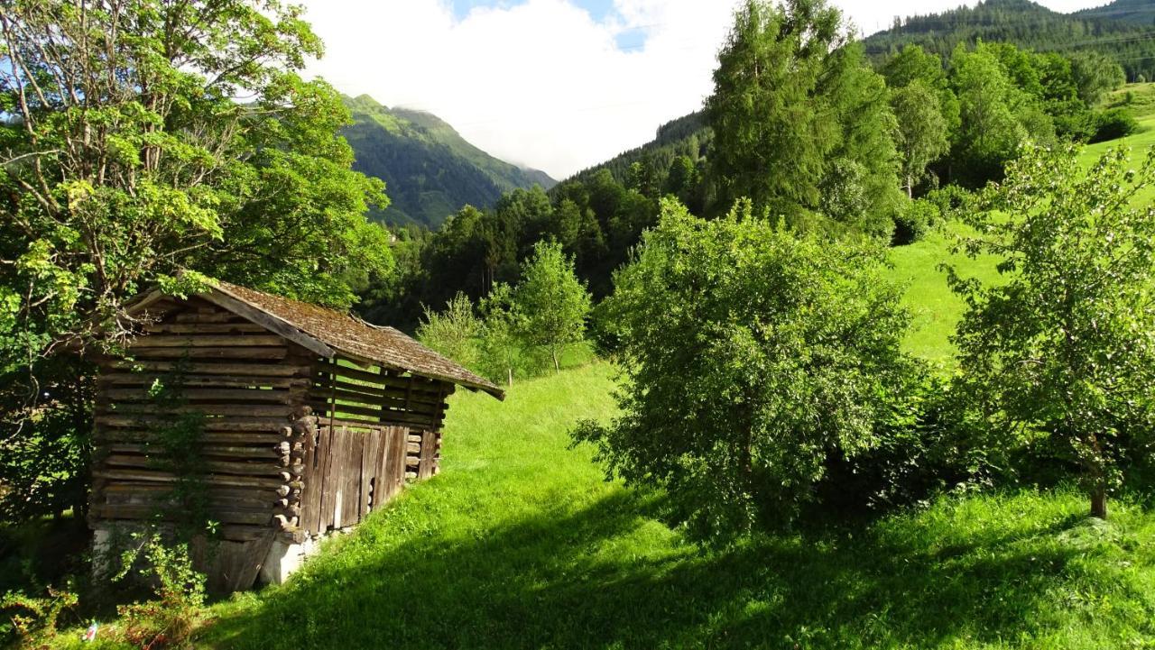 Alpinresort Derbacherhof Niedernsill Eksteriør bilde